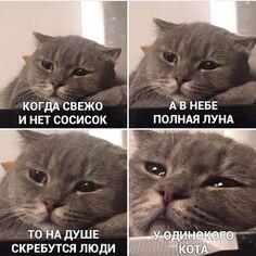 Мем от CloFT2