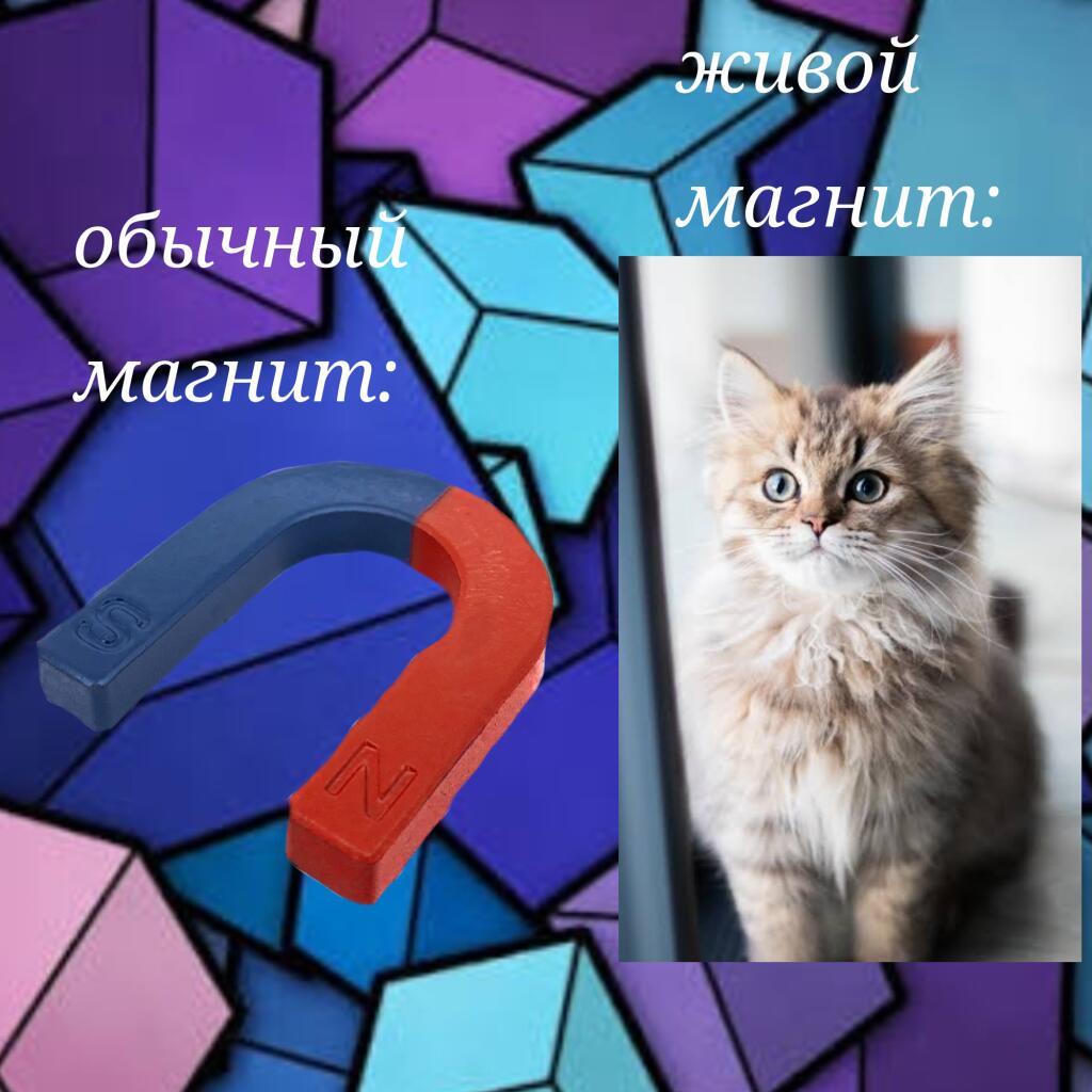 Хорошо магнитит:)