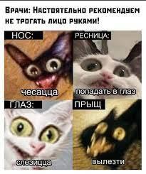 мем
