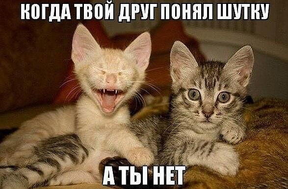 Мем без подписи