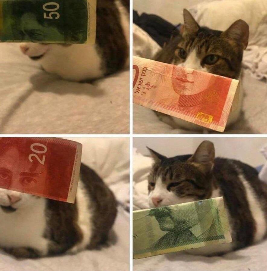 Мем от Китя жрёт мандарины