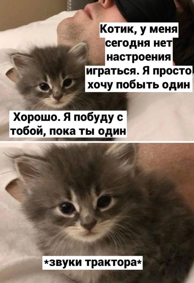 Мем без подписи