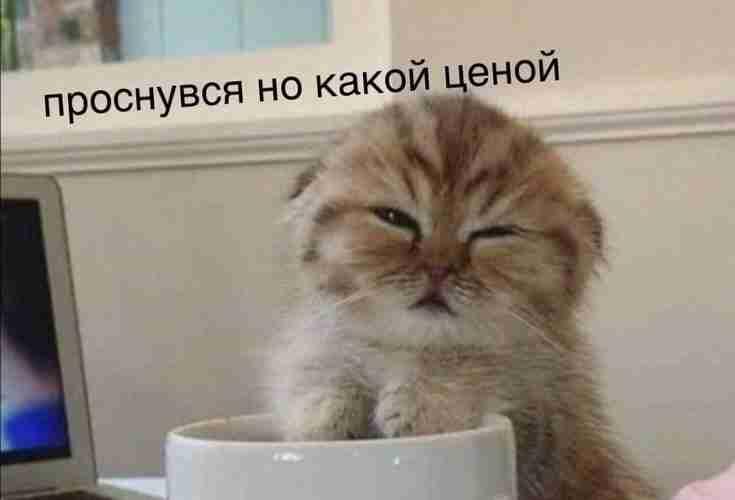 Мем без подписи