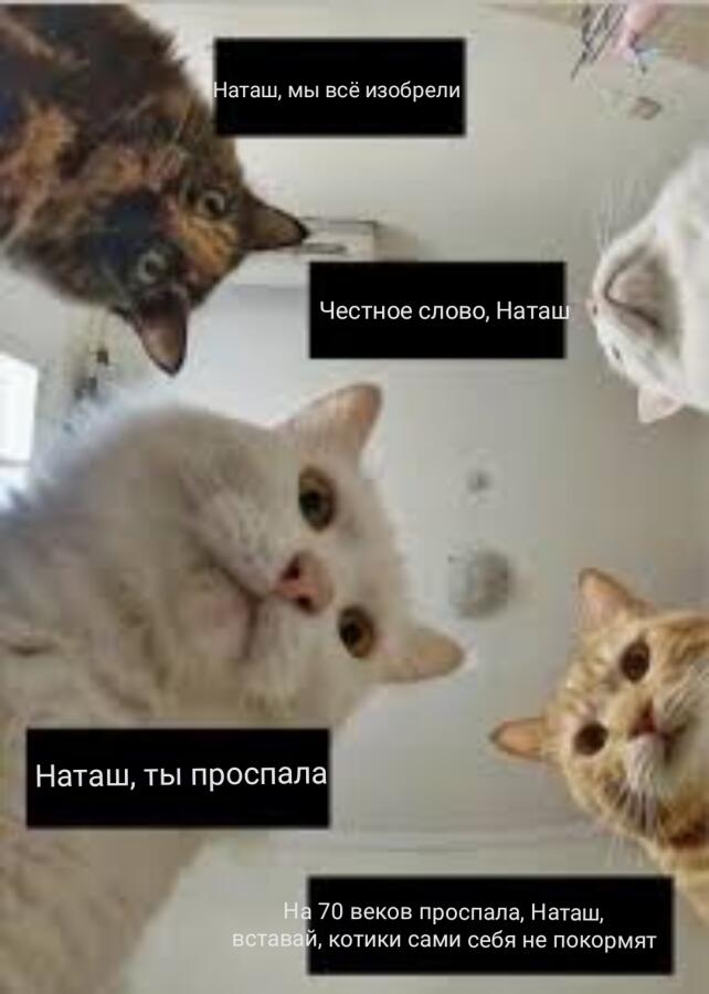 Кажись Наташа проспала...