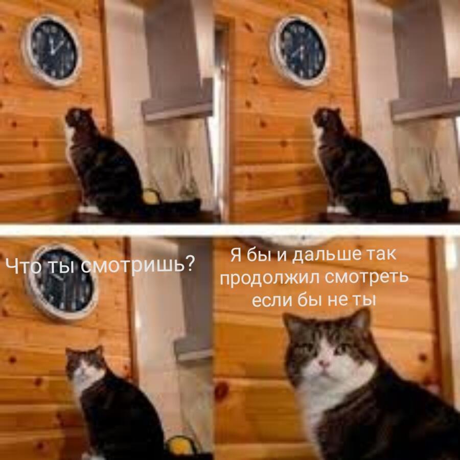 Что тебе от этого мема нужно?