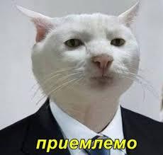 Я: Мам купи киндер-сюрприз
Мама: У нас нет денег
Я: (Итак знал что мама ответит так)
Также я: