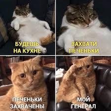 И да это я на картинке)