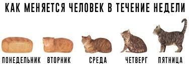 И так по кругу...