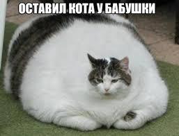 Вечный мем