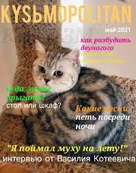 Свежие новости