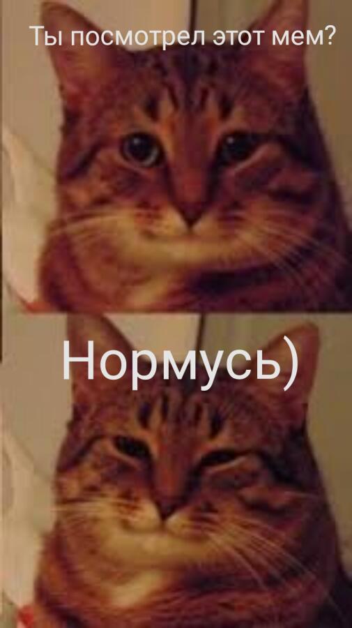 Я так рад