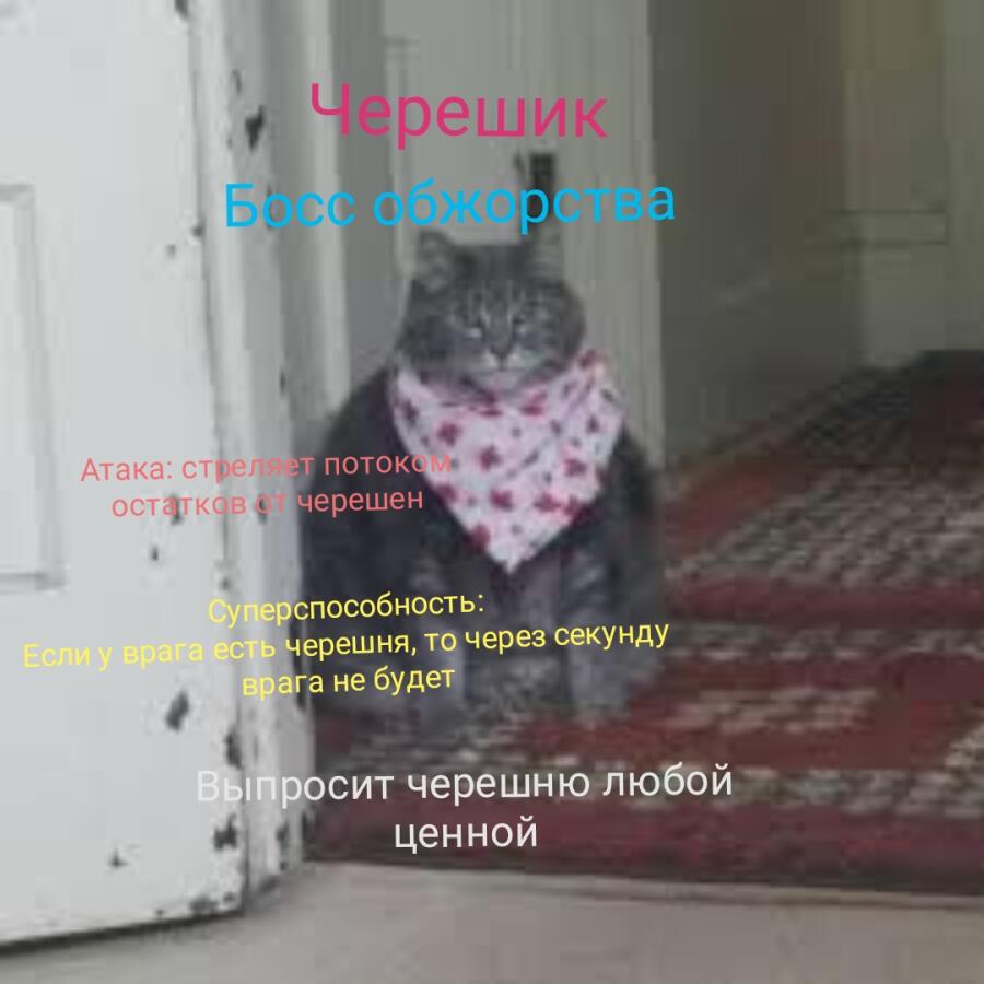 Выбери своего бойца: