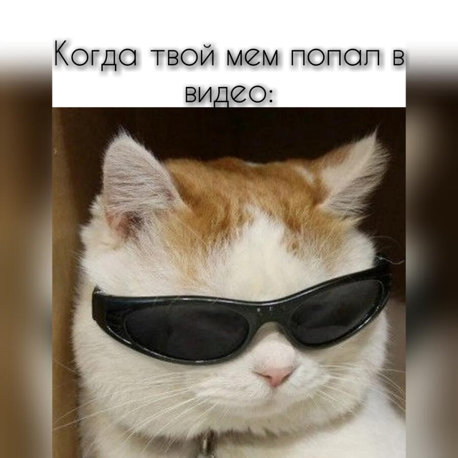 Мем без подписи