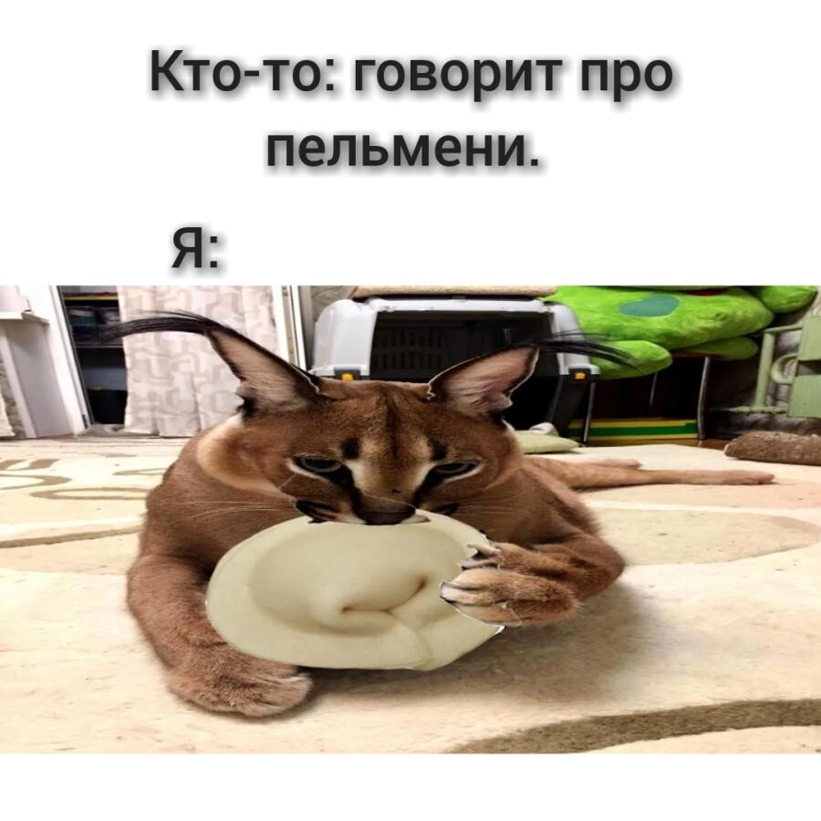 Мем без подписи