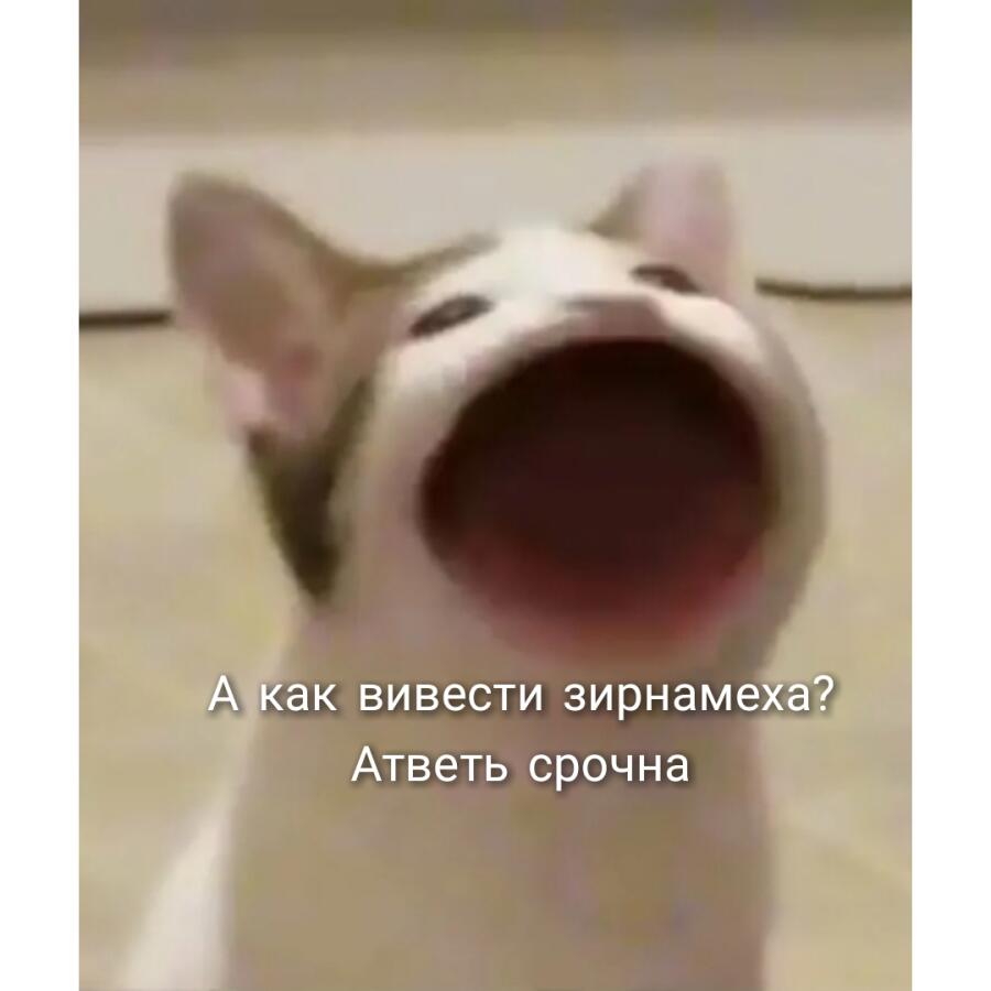 Я: (играю на серваке в майнкрафт,ко мне приближается игрок.)
Мои др...