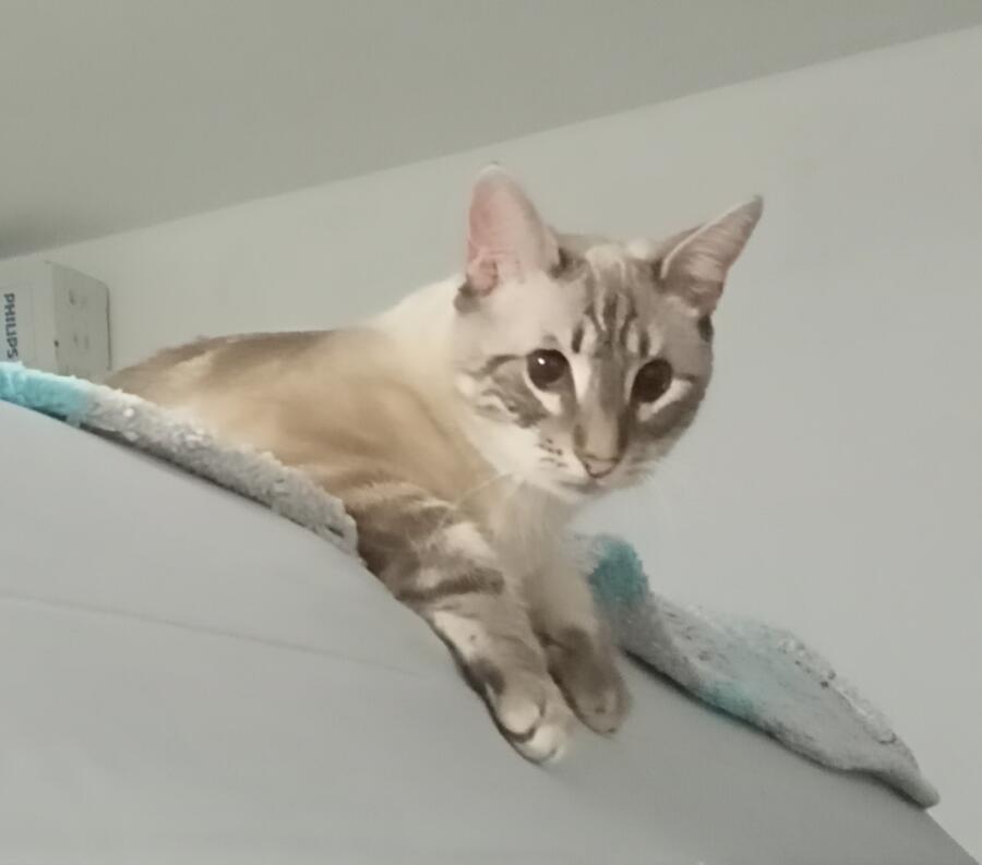Чё смотришь? Корма то нету.