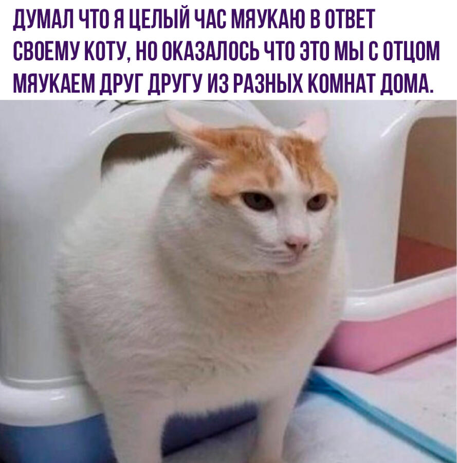 Мем без подписи