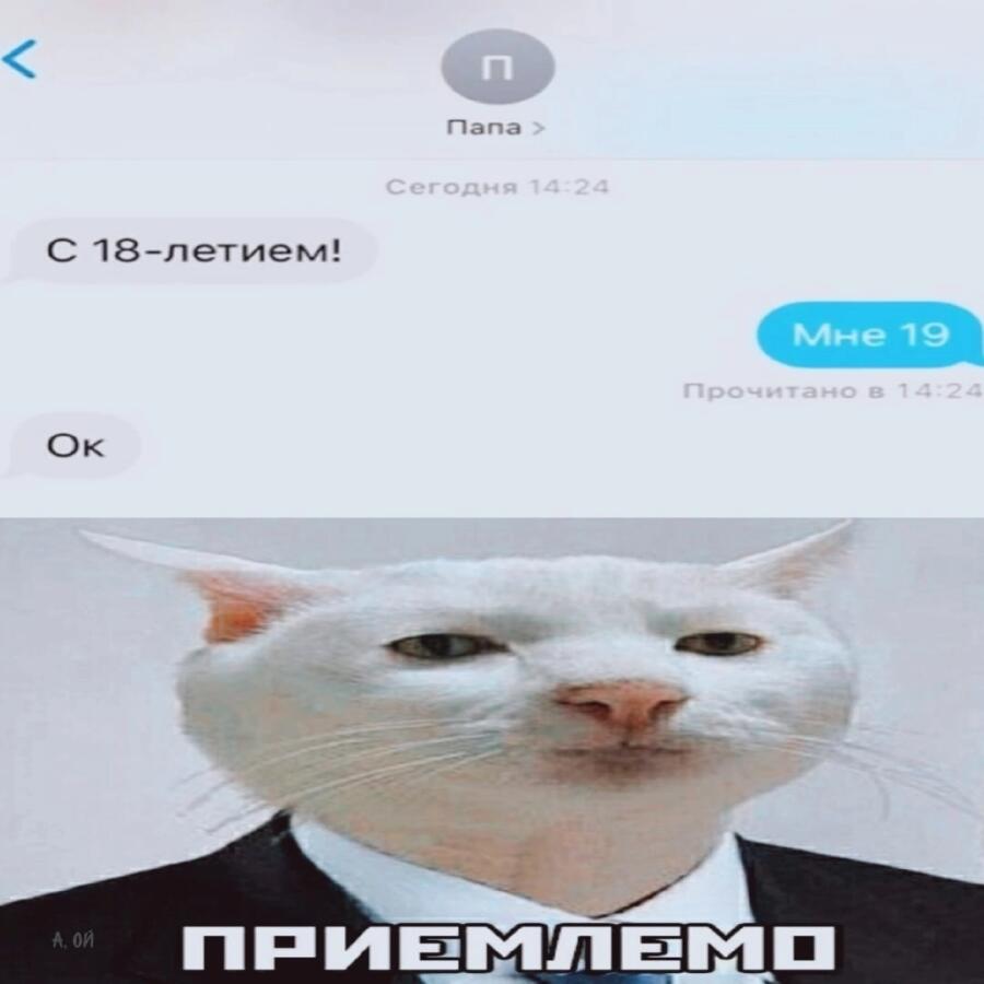 Приемлемо мем кот