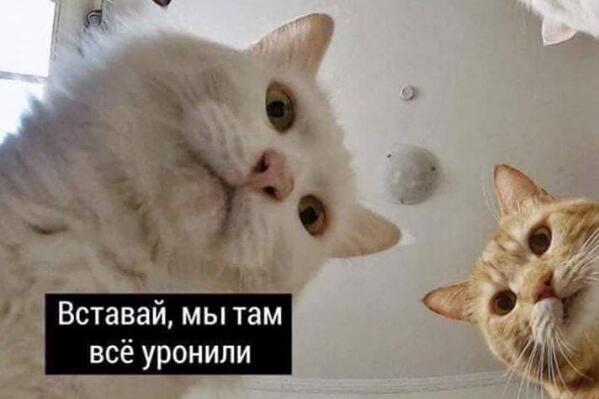 мы там все уронили