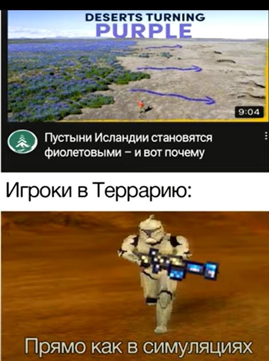 Мем без подписи