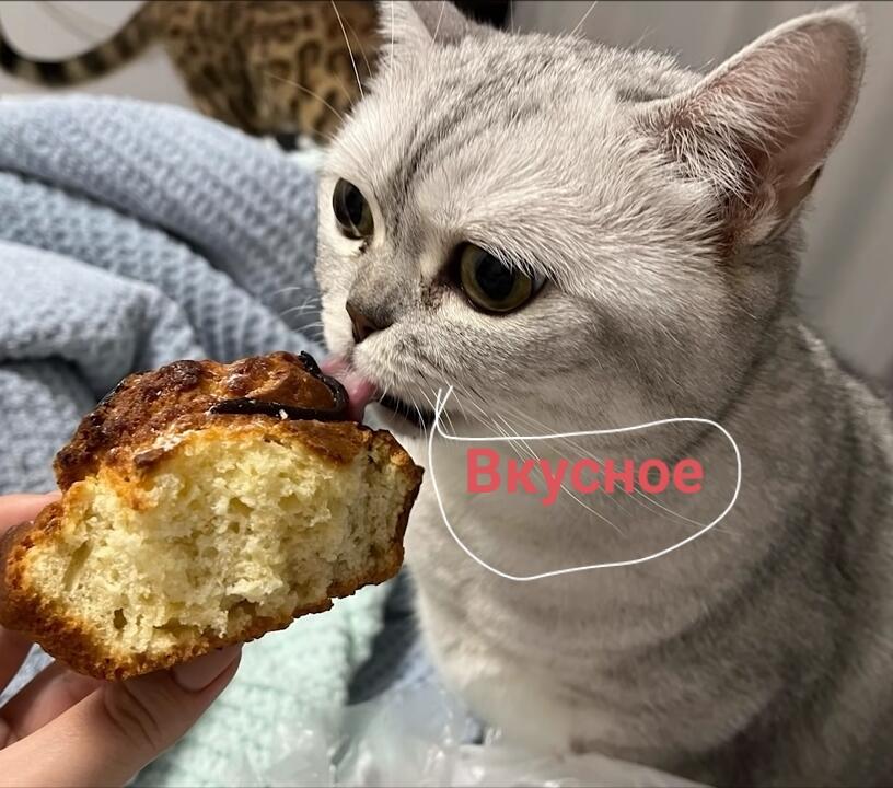 Мем от Morinka УРА ЛЕТО
