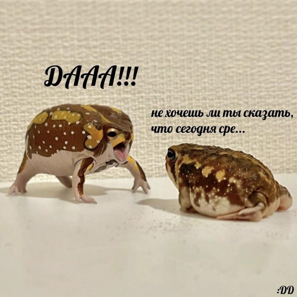Мем от МемнийЧеловечек [бебебеПЛМ]