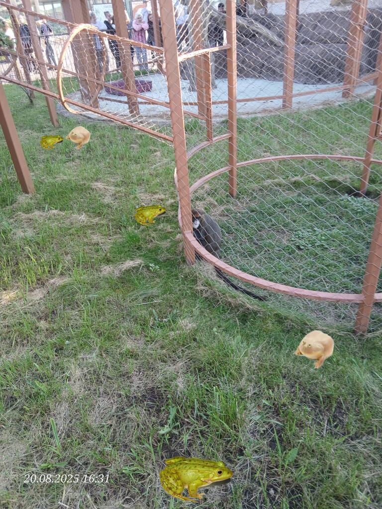 Среда.
