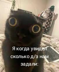 10 упр. по русскому и 20 номеров по матеше....