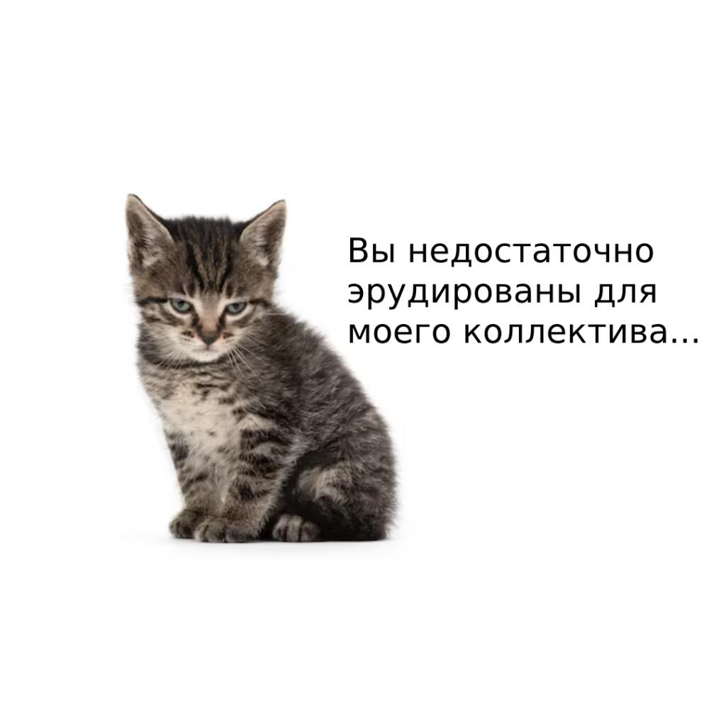 Я: читаю одну главу книги по готовке пельменей.
Также как я вижу себя перед друзьями наутро: