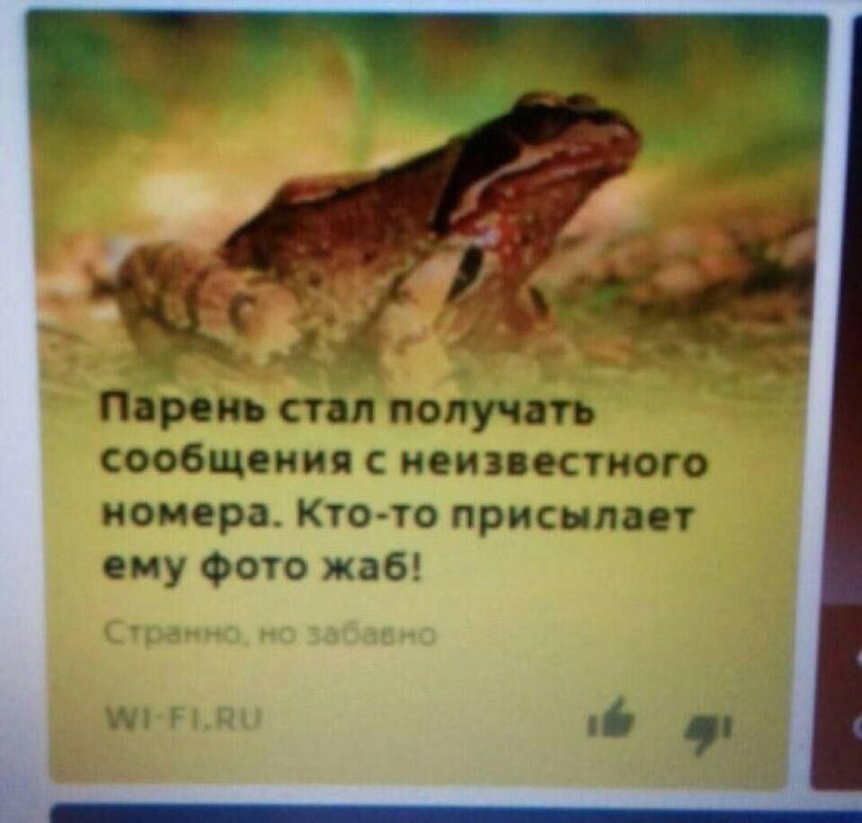 Чувак реально доигрался. Агенты отдали дело более серьёзной организаци...