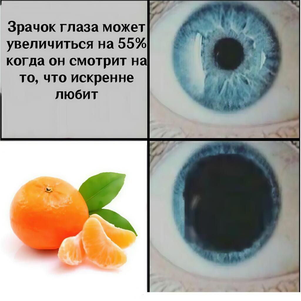 Мем от 🩶W1ndY[CHUP]🖤🍉