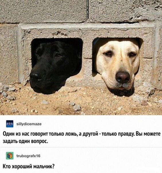 Собакины