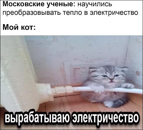 Мем от I.C.E
