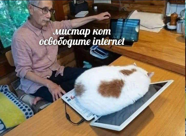 Нииииит