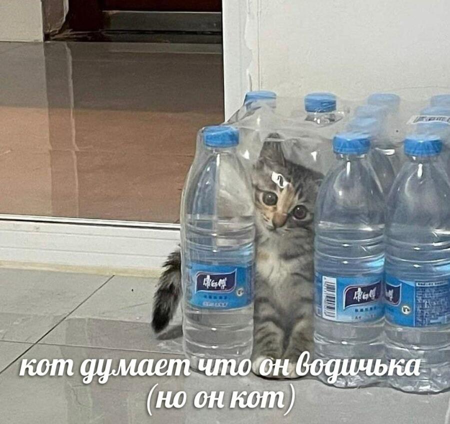 Мем от Алексей Сова