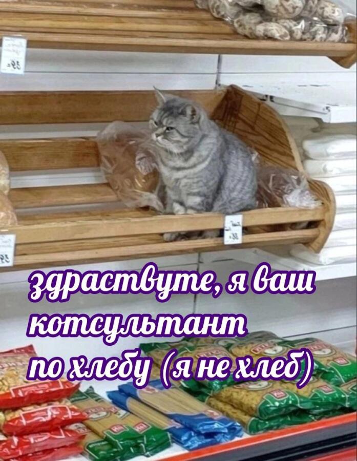 Мем от Алексей Сова
