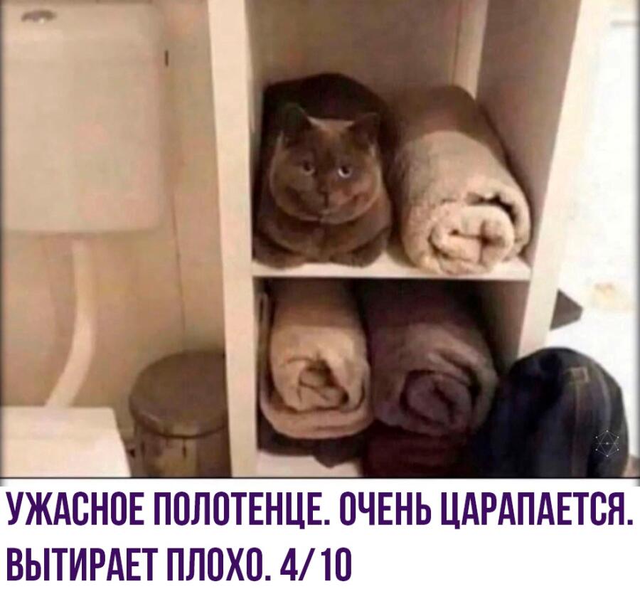 Мем без подписи