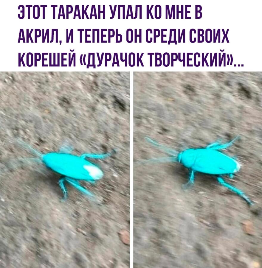 Алмазный сет!!!