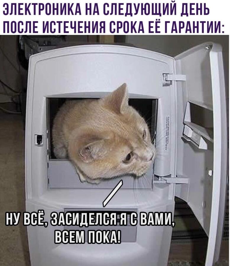 Это просто заговор какой-то