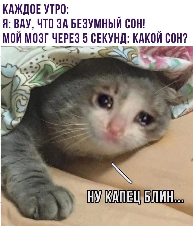 Мем от Алексей Сова