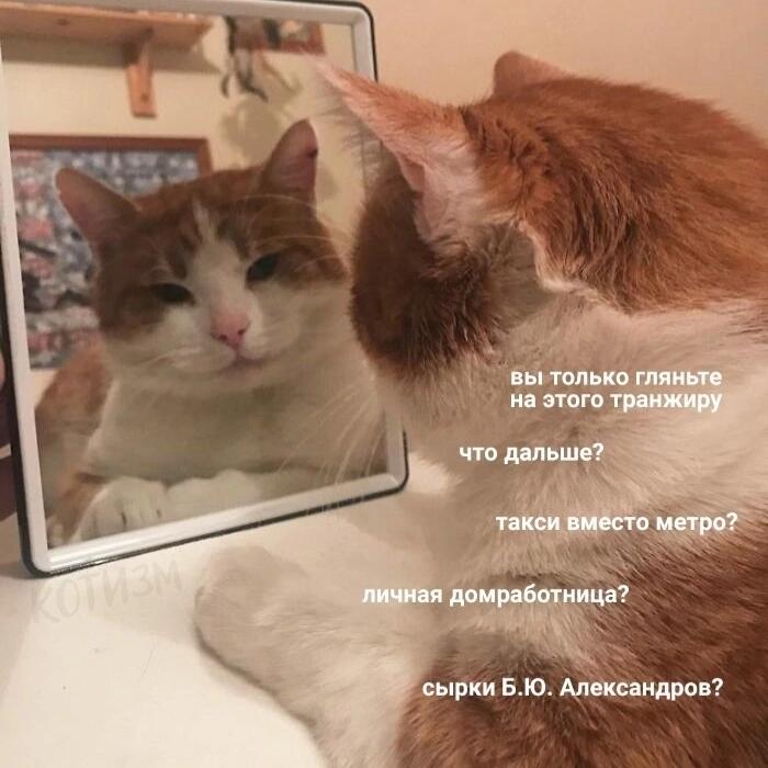 Мем от Алексей Сова