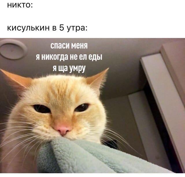 Мем от Алексей Сова