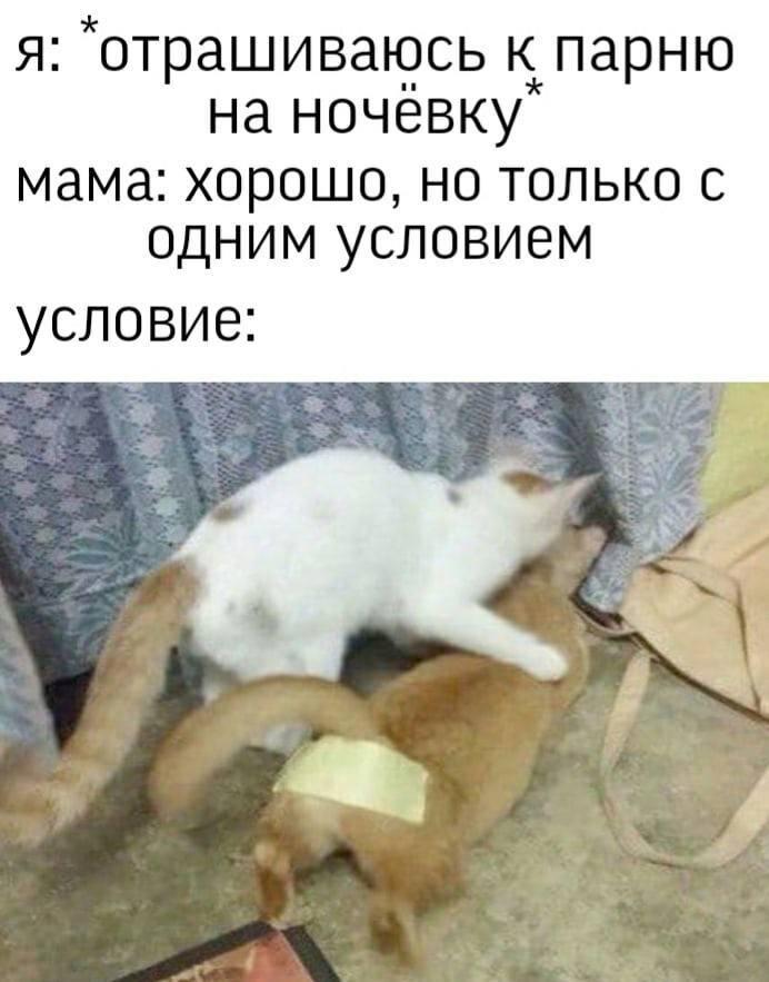 Мем от Алексей Сова