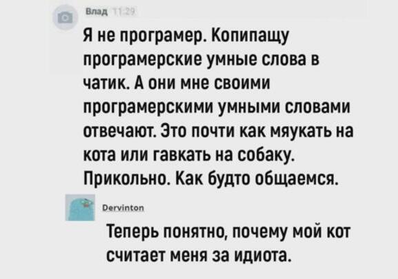 Мем от Lena