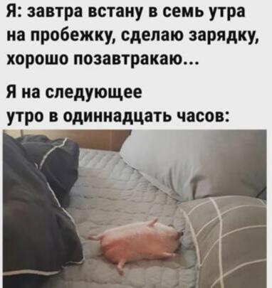 Ёжик валяется😍