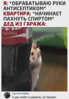 Мем от Lena