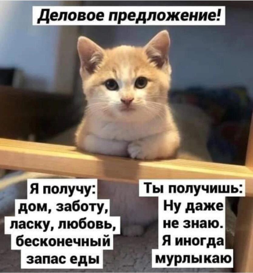Мем без подписи