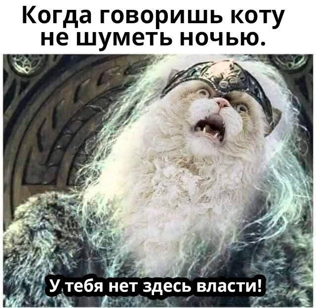 Мем без подписи