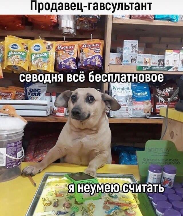 Мем без подписи