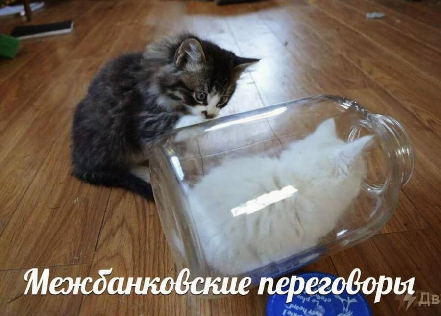 Мем без подписи